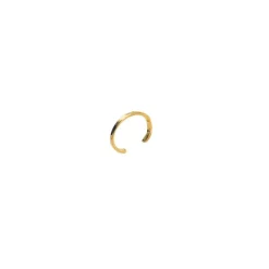 Perrine et Antoinette Bagues D'oreilles^BAGUE D'OREILLE HOANI